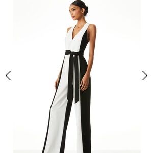 Alice and Olivia Tessa V-neck block jumpsuit
